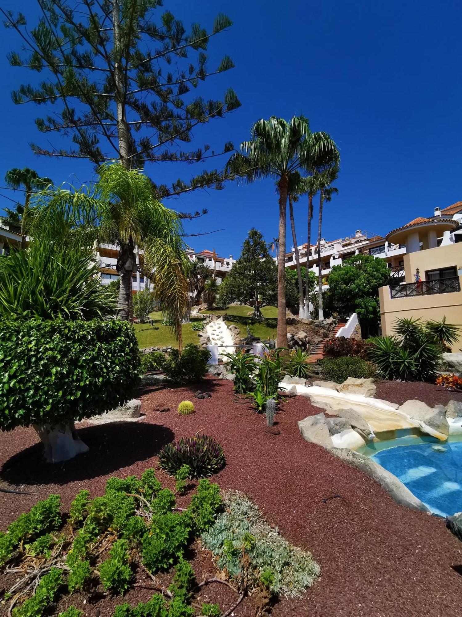 Strelitzia Apartment - Ocean View & Heated Pool San Miguel de Abona Buitenkant foto